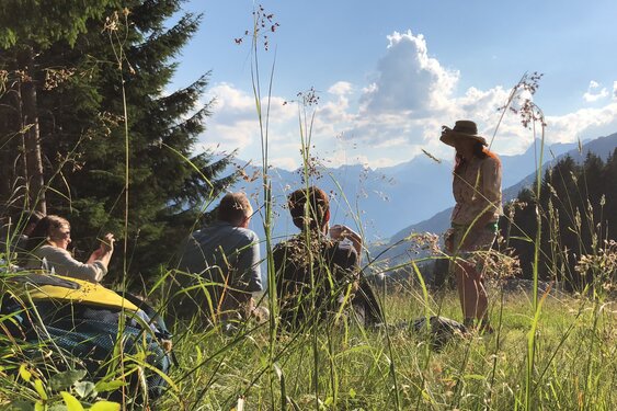 Magical summer moment during the full moon legend hike with Hertha Glück at Kristberg in Silbertal – atmospherically captured through the grass of the Austrian Alps.